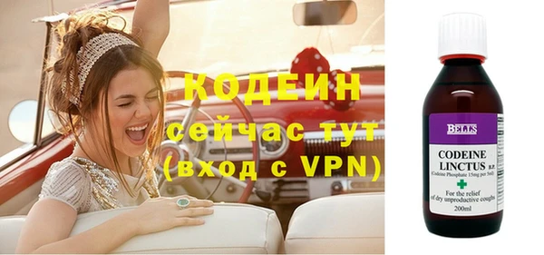 дурь Осташков