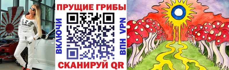 Галлюциногенные грибы Cubensis  Купить где  Киров 